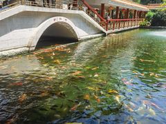 -番禺宾馆丽苑厅