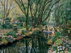 -上海共青森林公园