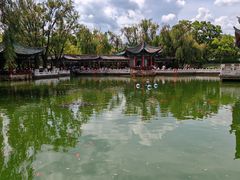 -MAP CHA普洱茶馆(翠湖店)