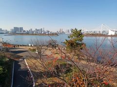 -台场海滨公园船码头