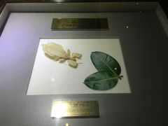 -上海昆虫博物馆