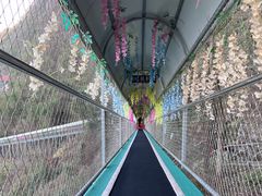-仙岛湖旅游风景区