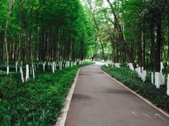 -桤木河湿地公园