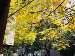 -龙潭水乡