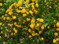 -蕃茄田艺术•美术绘画 •硬笔书法(滨江海威领界店)