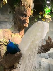 -Zoolung Zoolung动物主题公园(海信广场店)