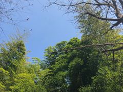 -巨石山景区