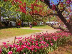 -朝阳公园