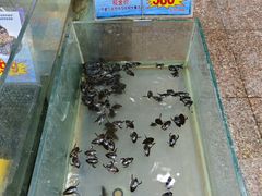 -渔民新村(番禺总店)