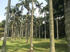 -荔枝公园(福田区)