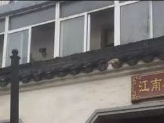 门面-泰顺江南春面馆