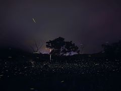 -西涌国际滨海旅游区