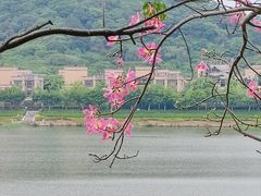 -风云岭森林公园