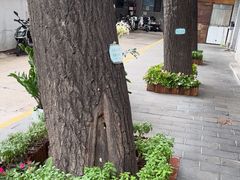 -鸿运楼烤鸭店(天桥店)