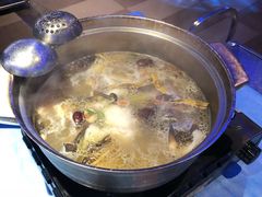 -千岛蚝高压锅生蚝·人参火锅(白云万达店)