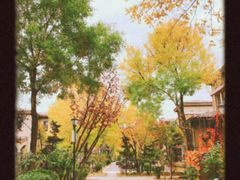 -龙湖·香醍溪岸