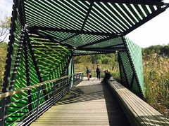 -西湖风景区-江洋畈生态公园