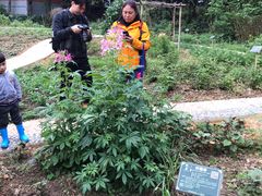 -广西壮族自治区药用植物园