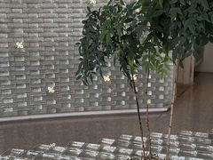 -% Arabica阿拉比卡咖啡(罗湖万象城店)