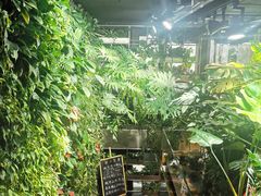 -森味薪火烧•烧鸟居酒屋•日本料理(望京店)