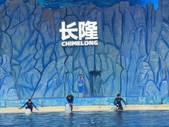 -珠海长隆海洋王国