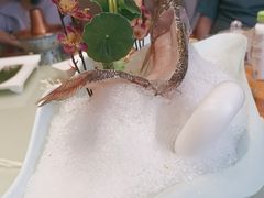 -南门四季铜锅涮肉(大屯·北苑店)