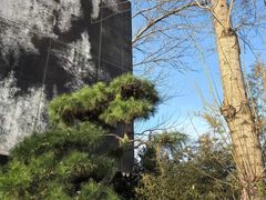 -罗红摄影艺术馆