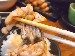 -靓蛙馆