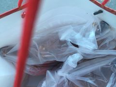 -京八珍(和平东桥店)