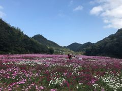 -广州市石门国家森林公园