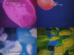 -石林冰雪海洋世界