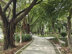 -海珠湖公园