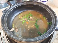 -蘑统田下·野生菌火锅