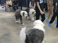 -TrueLove @ Neverland (Husky Cafe)