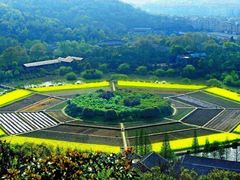 -八卦田遗址公园