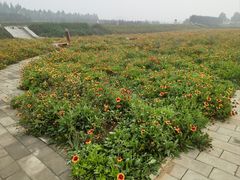 -君乐宝优致牧场