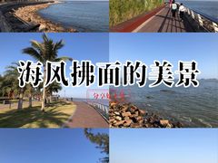 -野狸岛