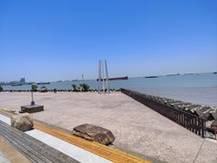 -上海滨江森林公园