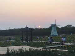 -武汉紫薇都市田园