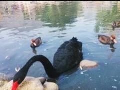 -新疆天山野生动物园