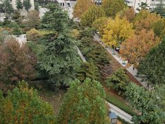 -山东大学(千佛山校区)