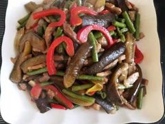 -爱月宝月嫂·育儿嫂