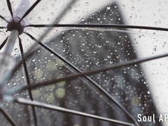 -STARRY CAFE & LOUNGE BAR(高新店)