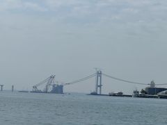 -五缘湾游艇帆船俱乐部