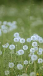 -Oasis Beauty水磨坊科技美肤中心
