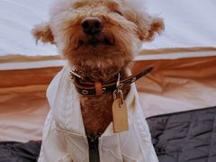 -前小桔亲子创意农场·草莓采摘·露营烧烤