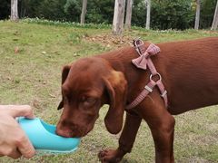 -四里河滨水生态公园