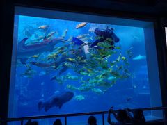 -太平洋海底世界