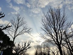 景点-黄兴公园