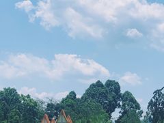 -中国科学院西双版纳热带植物园